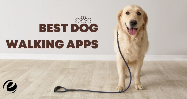 Top Dog Walking Apps