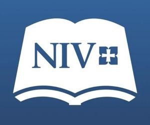 Niv