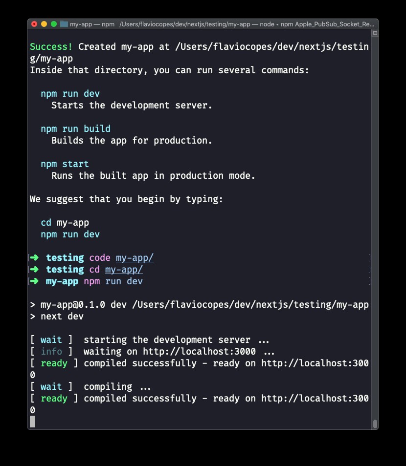 CLI Nextjs output