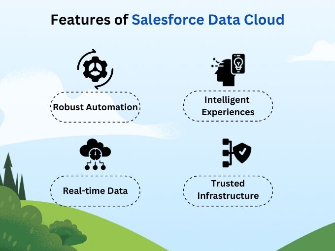 Features of Salesforce Data Cloud