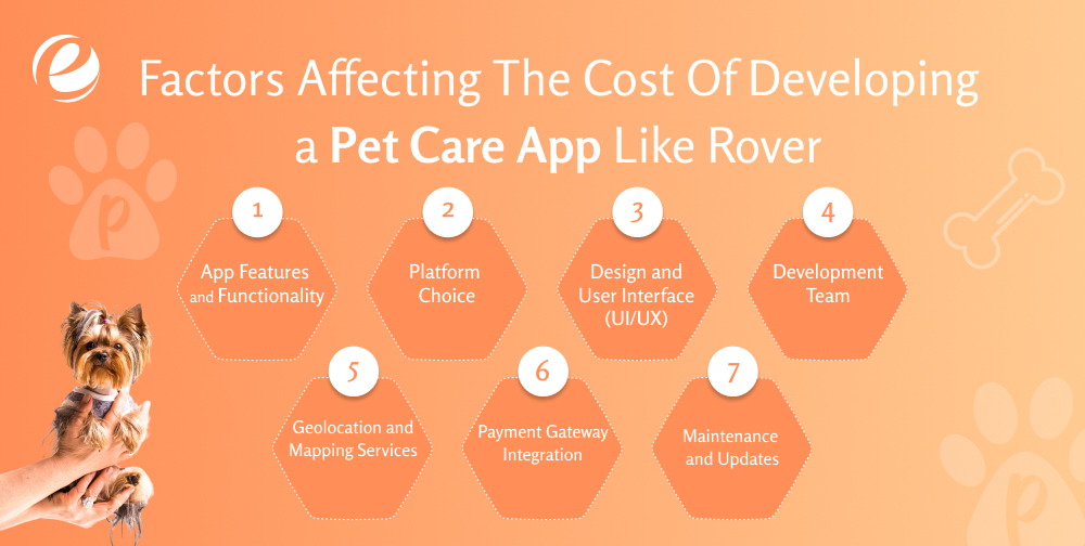 Factors Affecting The Cost Of Developing a Pet Care App Like Rover