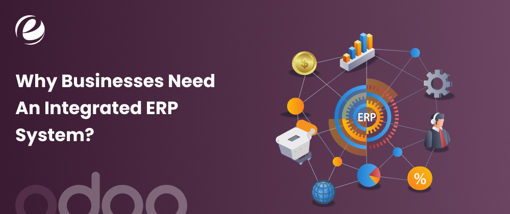 Why Businesses Need An Integrated ERP System?