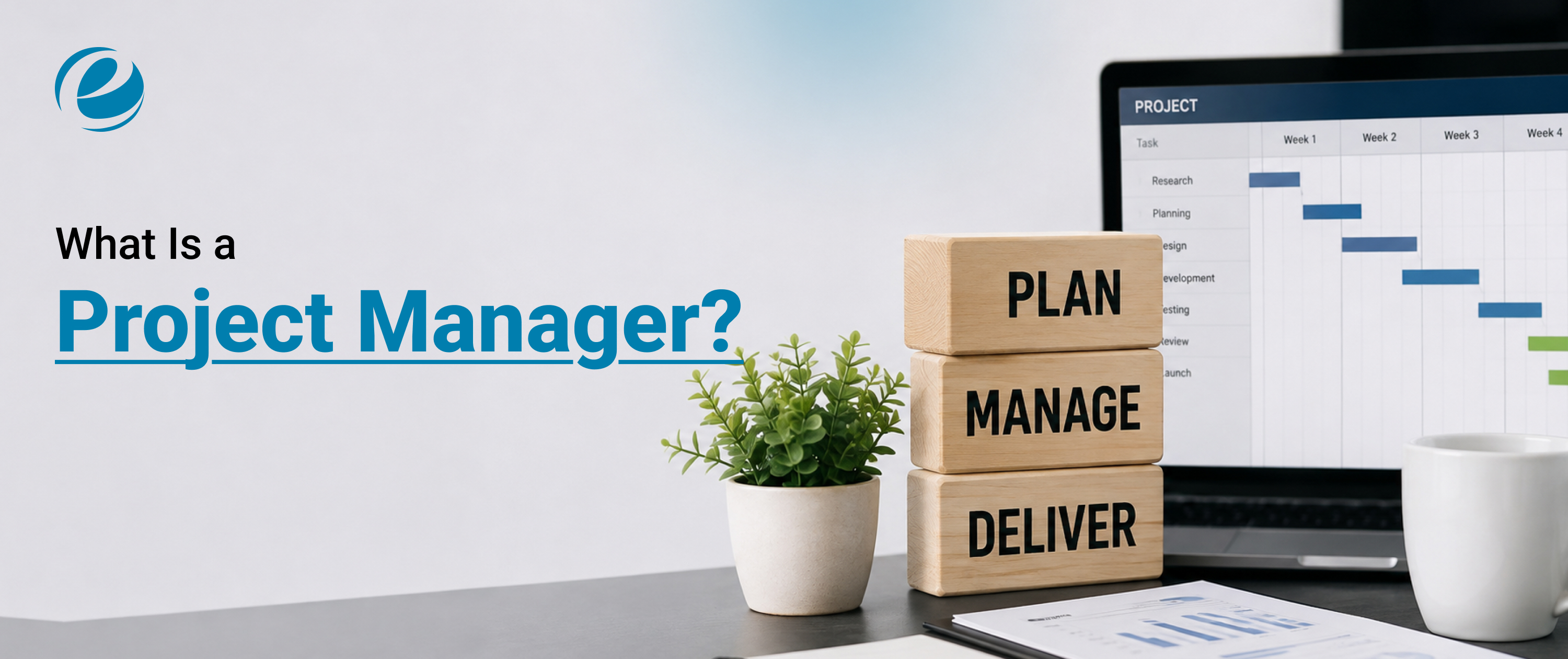 What Is a Project Manager
