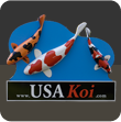 UsaKoi