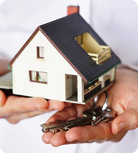 Odoo Consulting Services | EmizenTech