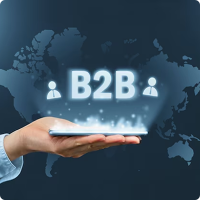 B2B & Wholesale 	We optimize bulk order processing, implement custom pricing strategies, and automate workflows to streamline large-scale transactions.