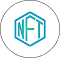 Hire NFT Developer