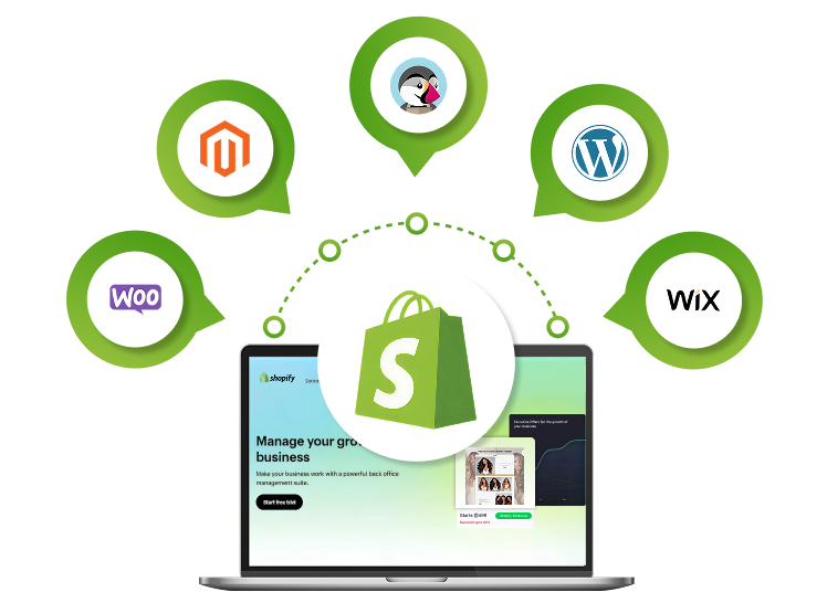 Expert Shopify SEO Services to Make Your Brand Get Seen